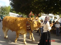 /album/photogallery/dsc00328-jpg/