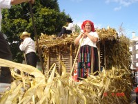 /album/photogallery/dsc00281-jpg/