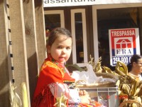 /album/photogallery/dsc00267-jpg/