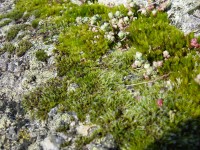 /album/photogallery/dsc01944-jpg/