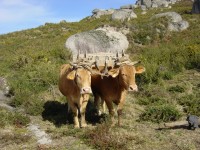 /album/photogallery/dsc01950-jpg/