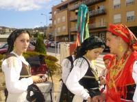 /album/photogallery/dsc00246-jpg/