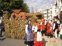 /album/photogallery/dsc00247-jpg/