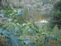 /album/photogallery/dsc00609-jpg/