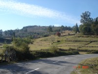 /album/photogallery/dsc00697-jpg/